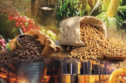 Giá Dầu Tăng Mạnh và Tác Động Đến Thị Trường Bất Động Sản Việt Nam Trong Bối Cảnh Kinh Tế Vĩ Mô 2026
