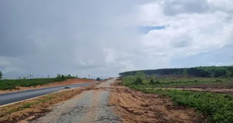 Gia Lai chuyển đổi gần 9 ha rừng để thực hiện Dự án Trạm dừng nghỉ cao tốc Bắc - DNSE