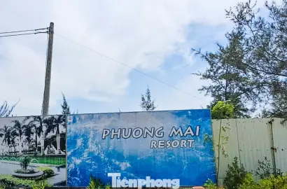 Gia Lai Ra Tối Hậu Thư Cho Hai Dự Án Bất Động Sản Hàng Nghìn Tỷ: Cơ Hội Và Thách Thức Cho Thị Trường Địa Phương