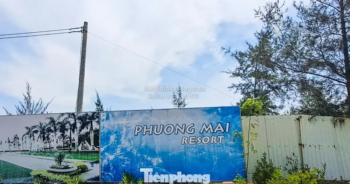 Gia Lai Ra Tối Hậu Thư Cho Hai Dự Án Bất Động Sản Hàng Nghìn Tỷ: Cơ Hội Và Thách Thức Cho Thị Trường Địa Phương