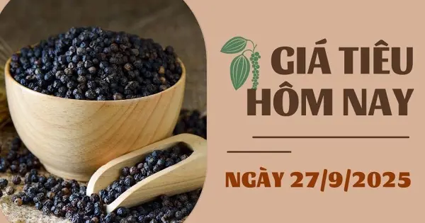 Giá tiêu hôm nay 27/9: Trong nước ổn định, thế giới tiếp đà đi xuống - VietnamBiz