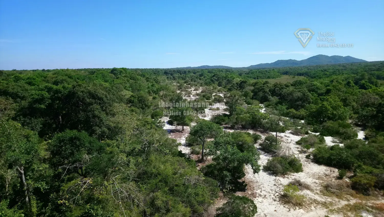 Giải Mã Nguyên Nhân Giảm Diện Tích Rừng Tự Nhiên Ở Lâm Đồng và Tác Động Đến Thị Trường Bất Động Sản