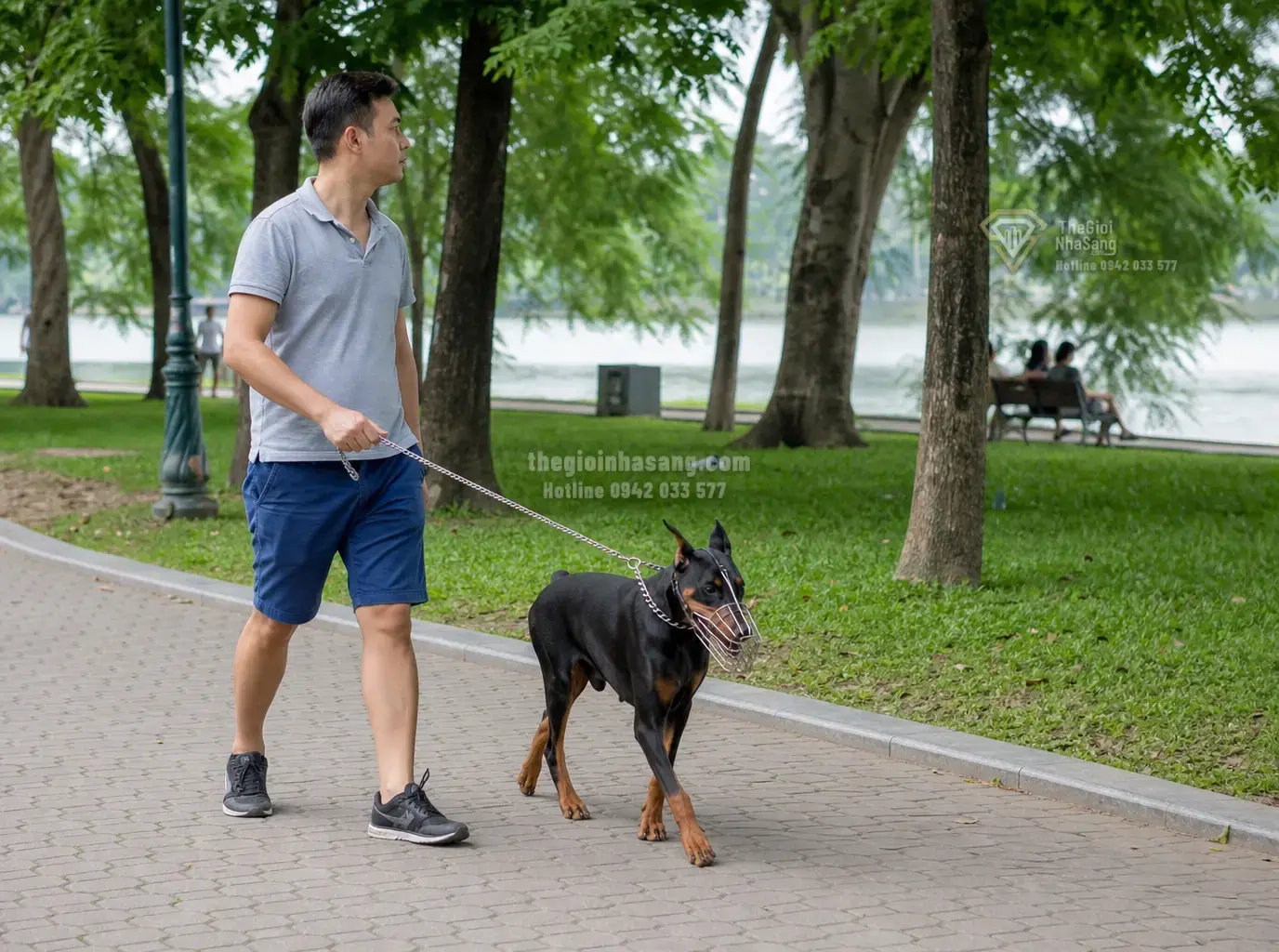 Giải mã quy định rọ mõm và xích giữ chó tại nơi công cộng: Tác động đến môi trường sống và bất động sản đô thị