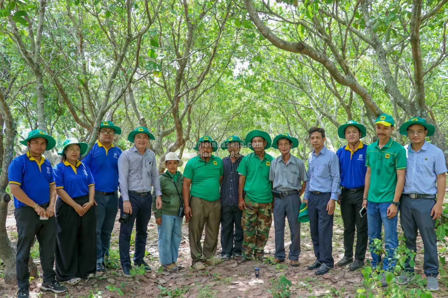 Giải pháp dinh dưỡng khoa học thúc đẩy phát triển vùng điều Campuchia và tác động đến thị trường bất động sản nông nghiệp vùng biên