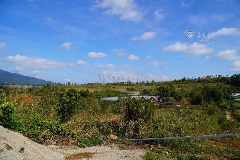 Giải pháp tháo gỡ vướng mắc cho dự án Nhà máy điện gió 3.500 tỷ đồng tại Quảng Ngãi