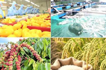 Giảm Phát Thải và Kinh Tế Tuần Hoàn: Đòn Bẩy Mới Cho Bất Động Sản Nông Nghiệp Việt Nam 2026