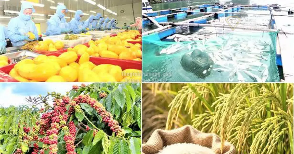 Giảm Phát Thải và Kinh Tế Tuần Hoàn: Đòn Bẩy Mới Cho Bất Động Sản Nông Nghiệp Việt Nam 2026
