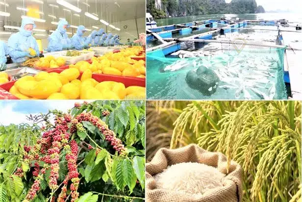 Giảm Phát Thải và Kinh Tế Tuần Hoàn: Đòn Bẩy Mới Cho Bất Động Sản Nông Nghiệp Việt Nam 2026
