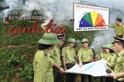 Giữ Rừng – Bảo Vệ Tài Nguyên Sinh Thái và Ảnh Hưởng Đến Thị Trường Bất Động Sản Vùng Núi