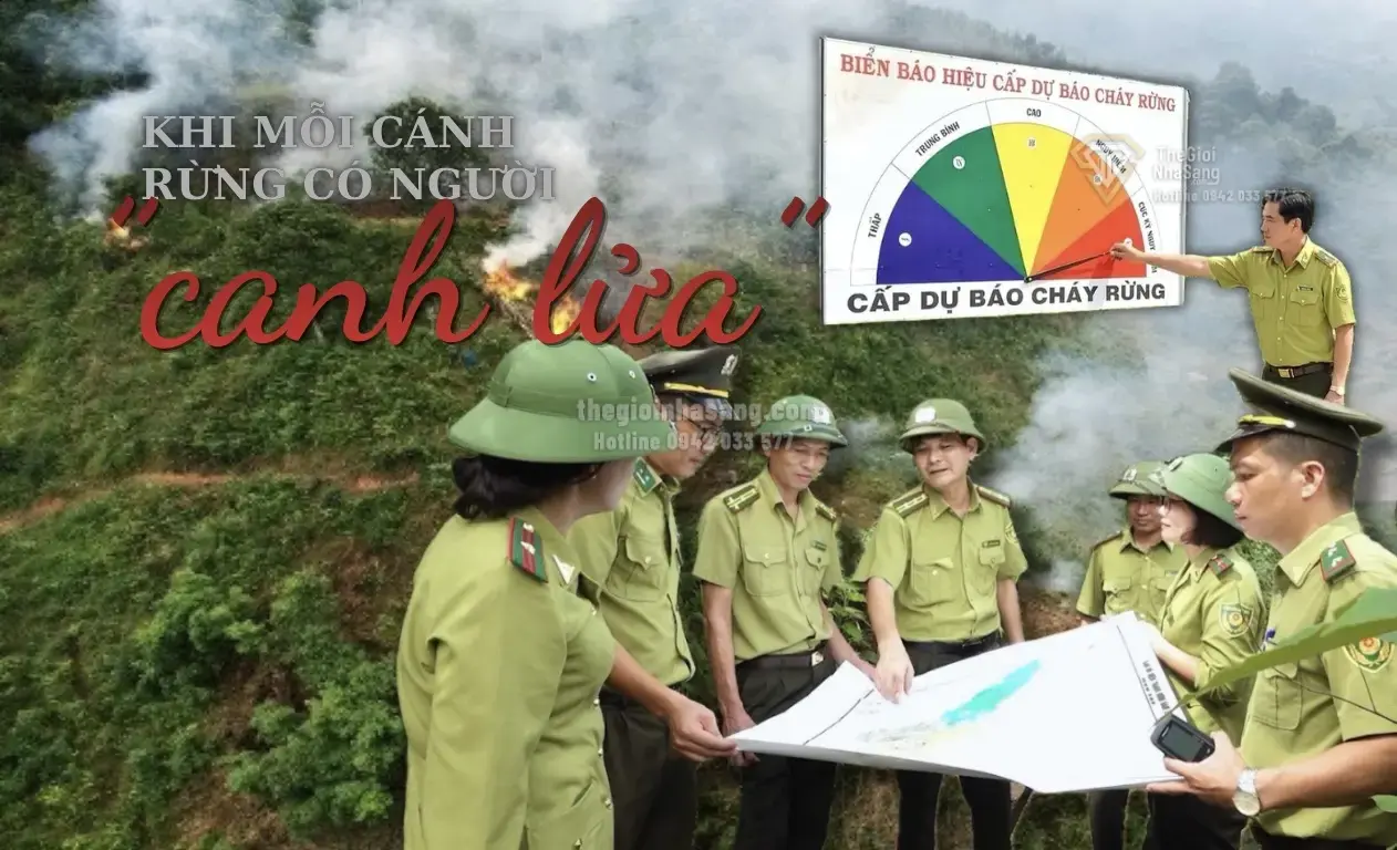 Giữ Rừng – Bảo Vệ Tài Nguyên Sinh Thái và Ảnh Hưởng Đến Thị Trường Bất Động Sản Vùng Núi