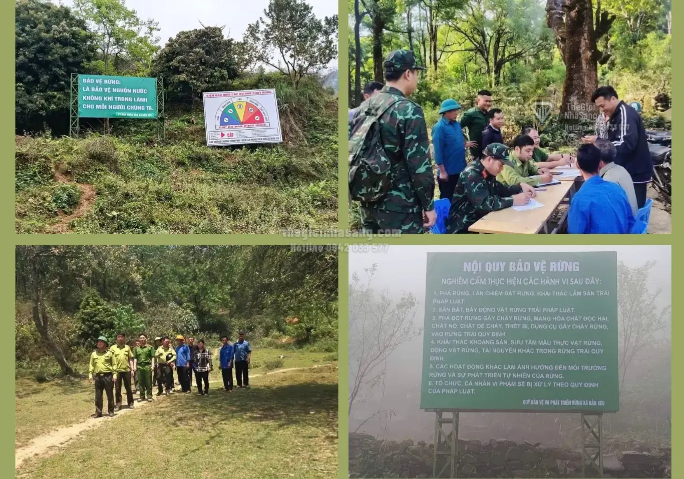 Giữ Rừng – Bảo Vệ Tài Nguyên Sinh Thái và Ảnh Hưởng Đến Thị Trường Bất Động Sản Vùng Núi