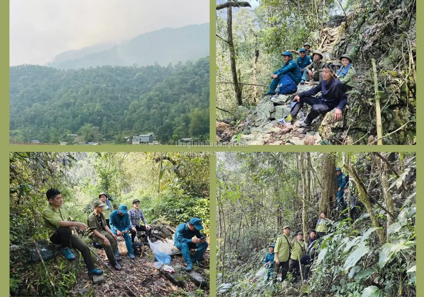 Giữ Rừng – Bảo Vệ Tài Nguyên Sinh Thái và Ảnh Hưởng Đến Thị Trường Bất Động Sản Vùng Núi