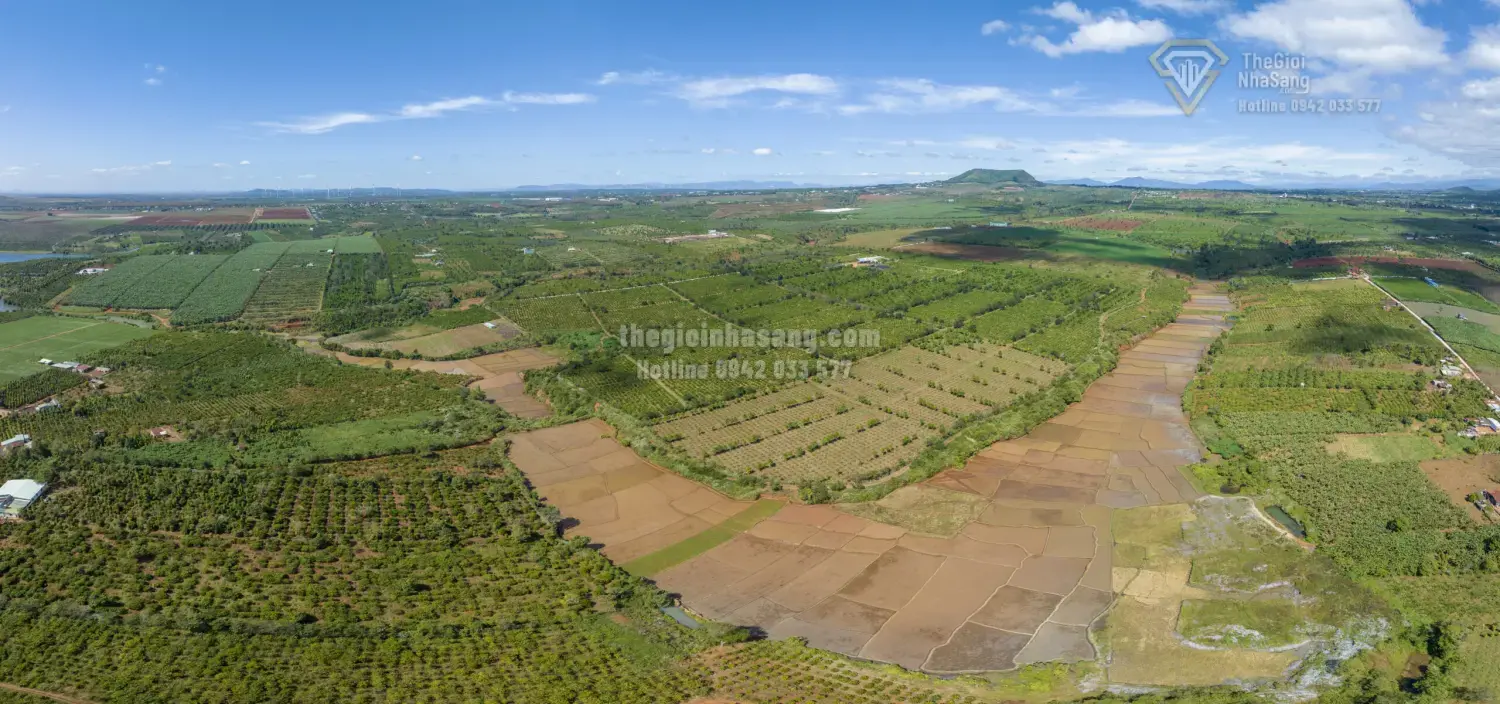 Giữa Hai Nền Văn Hóa: Góc Nhìn Đa Chiều và Tác Động Đến Thị Trường Bất Động Sản Người Việt Tại Châu Âu