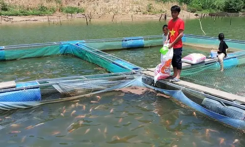 Giảm nghèo bền vững mang lại cuộc sống mới cho đồng bào Cơ Tu ở vùng cao Nam Giang