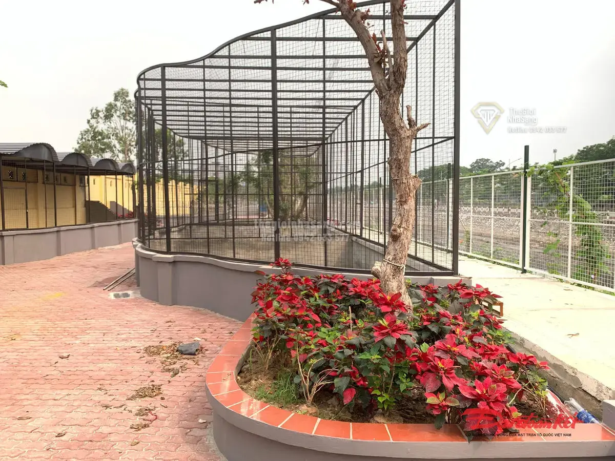 Hà Nội: Thực trạng xây dựng trái phép trên diện tích gần 16.000m2 đất quy hoạch tại phường Việt Hưng