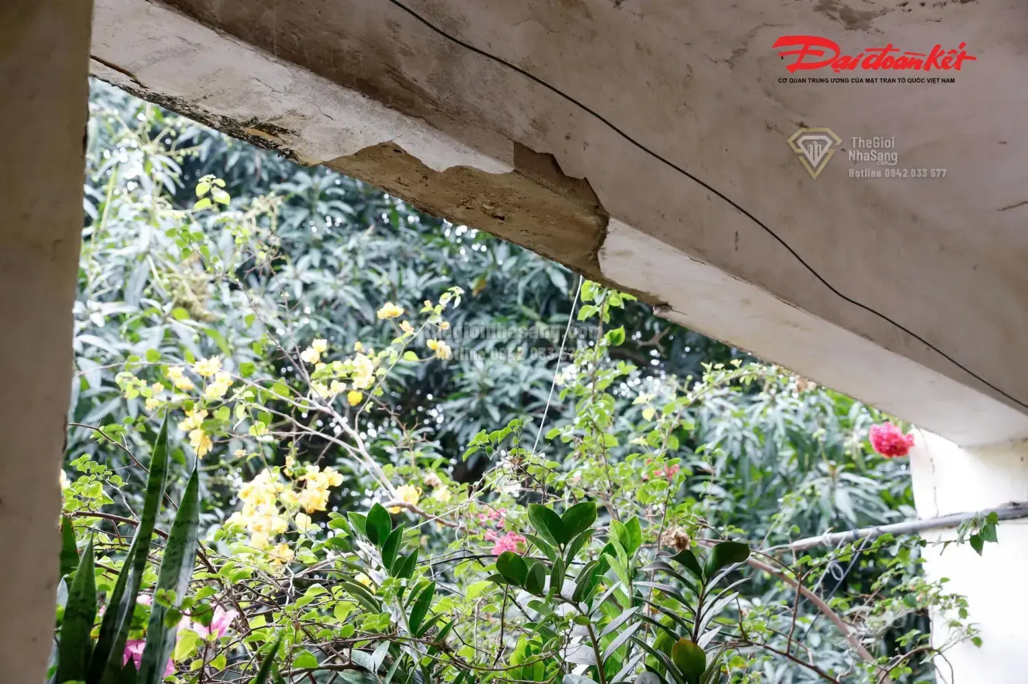 Hà Nội Triển Khai Dự Án Chung Cư 34 Tầng Thay Thế Khu Tập Thể Xuống Cấp Trên Đường Lê Hồng Phong