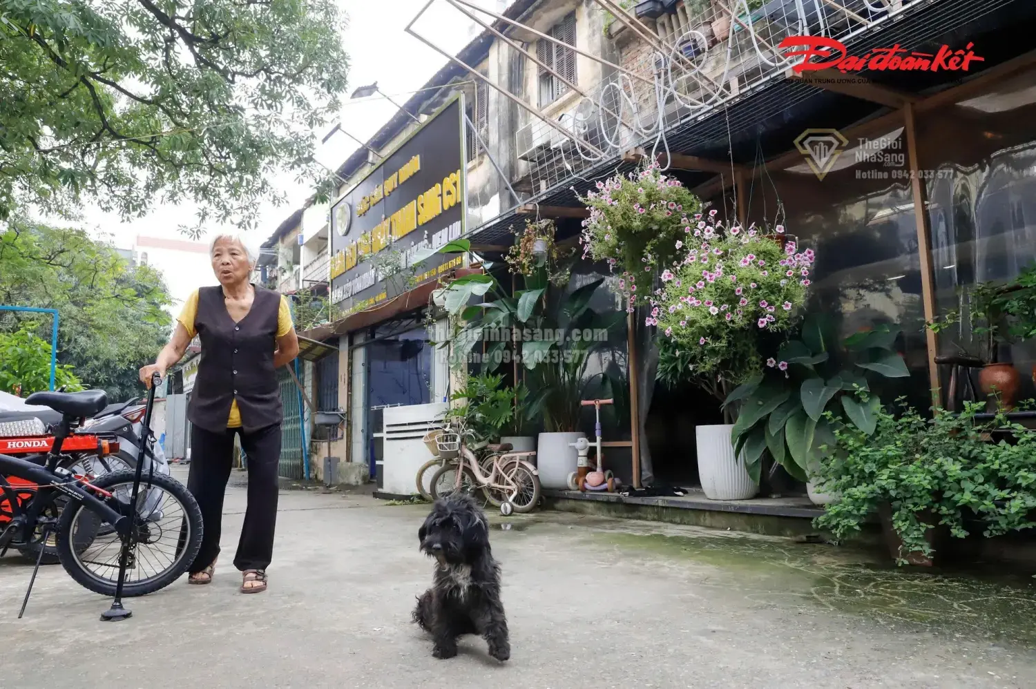 Hà Nội Triển Khai Dự Án Chung Cư 34 Tầng Thay Thế Khu Tập Thể Xuống Cấp Trên Đường Lê Hồng Phong