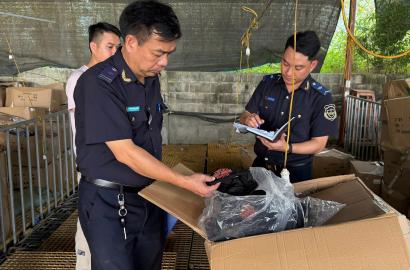 Hải Quan Tăng Cường Kiểm Soát Hàng Giả: Tác Động Đến Thị Trường Bất Động Sản Và Đầu Tư Việt Nam 2026