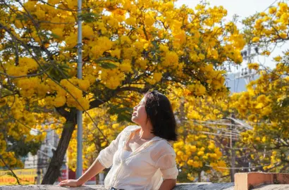 Hàng Hoa Chuông Vàng Rực Tại Vũng Tàu: Cơ Hội Mới Cho Bất Động Sản Nghỉ Dưỡng Và Đầu Tư Đô Thị