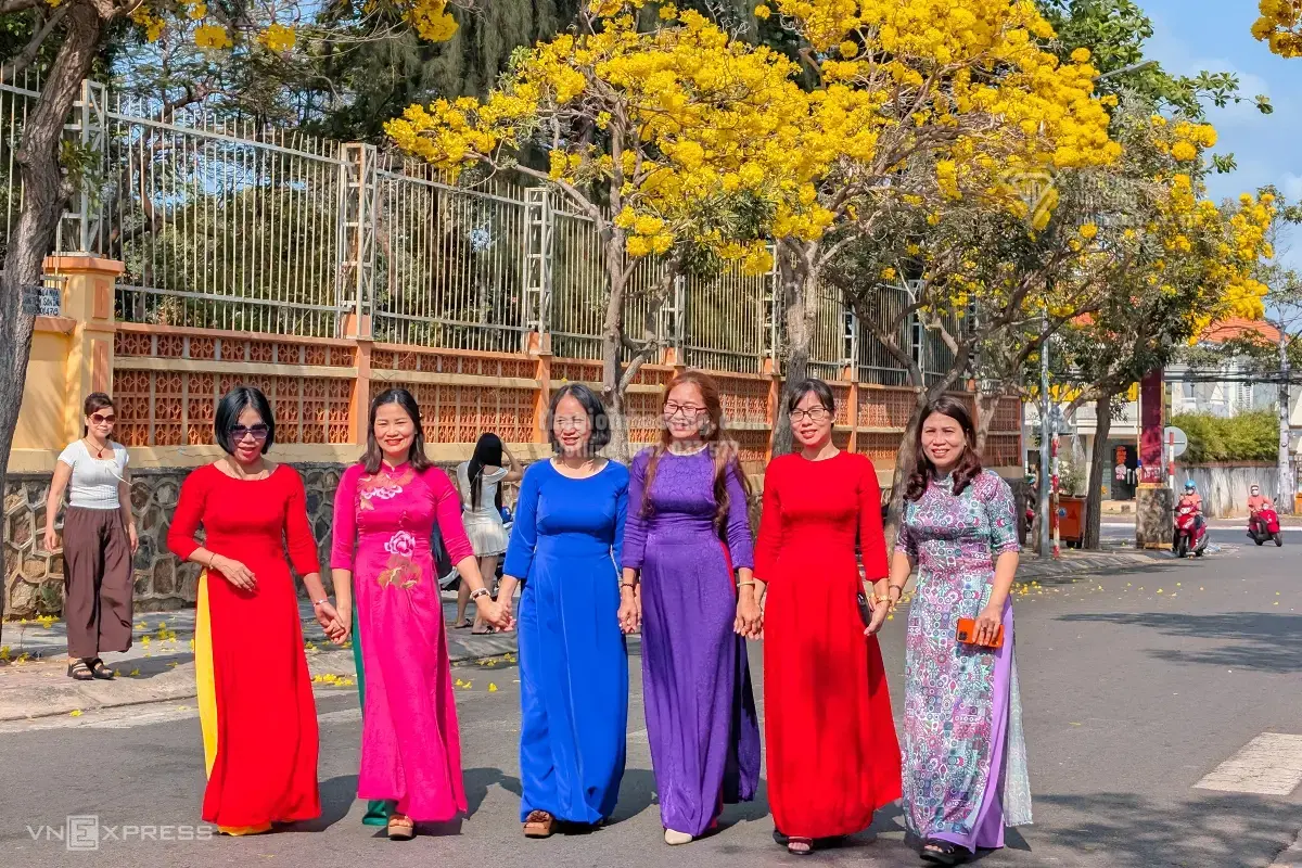 Hàng Hoa Chuông Vàng Rực Tạo Điểm Nhấn Đặc Biệt Cho Thị Trường Bất Động Sản Vũng Tàu