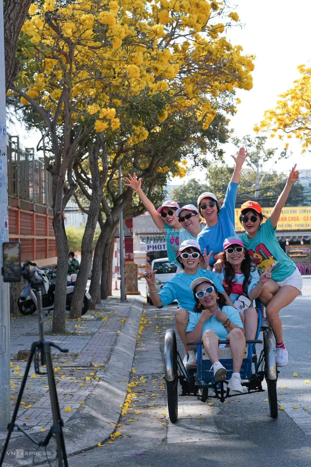 Hàng Hoa Chuông Vàng Rực Trên Đường Trần Quý Cáp: Tín Hiệu Mới Cho Thị Trường Bất Động Sản Vũng Tàu