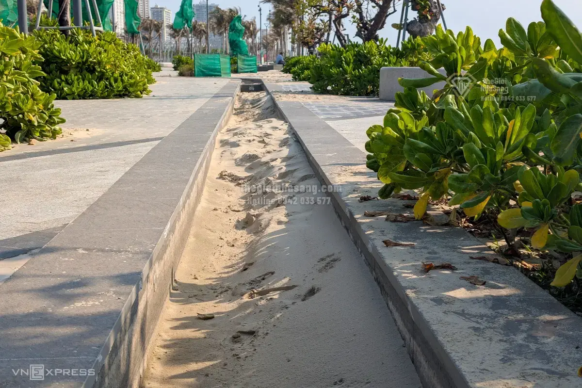 Hiện tượng cát bay tại Công viên Thùy Vân Vũng Tàu: Thách thức và giải pháp cho phát triển bền vững đô thị ven biển