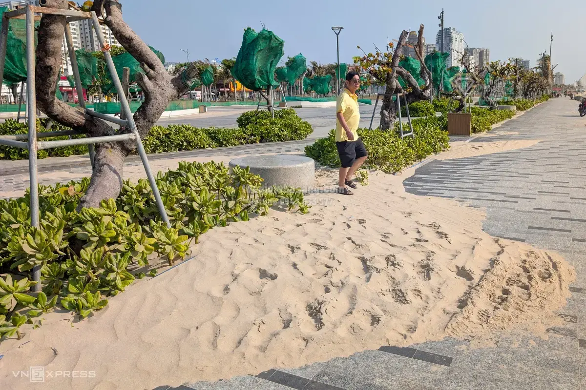 Hiện tượng cát bay tại Công viên Thùy Vân Vũng Tàu: Thách thức và giải pháp cho phát triển bền vững đô thị ven biển