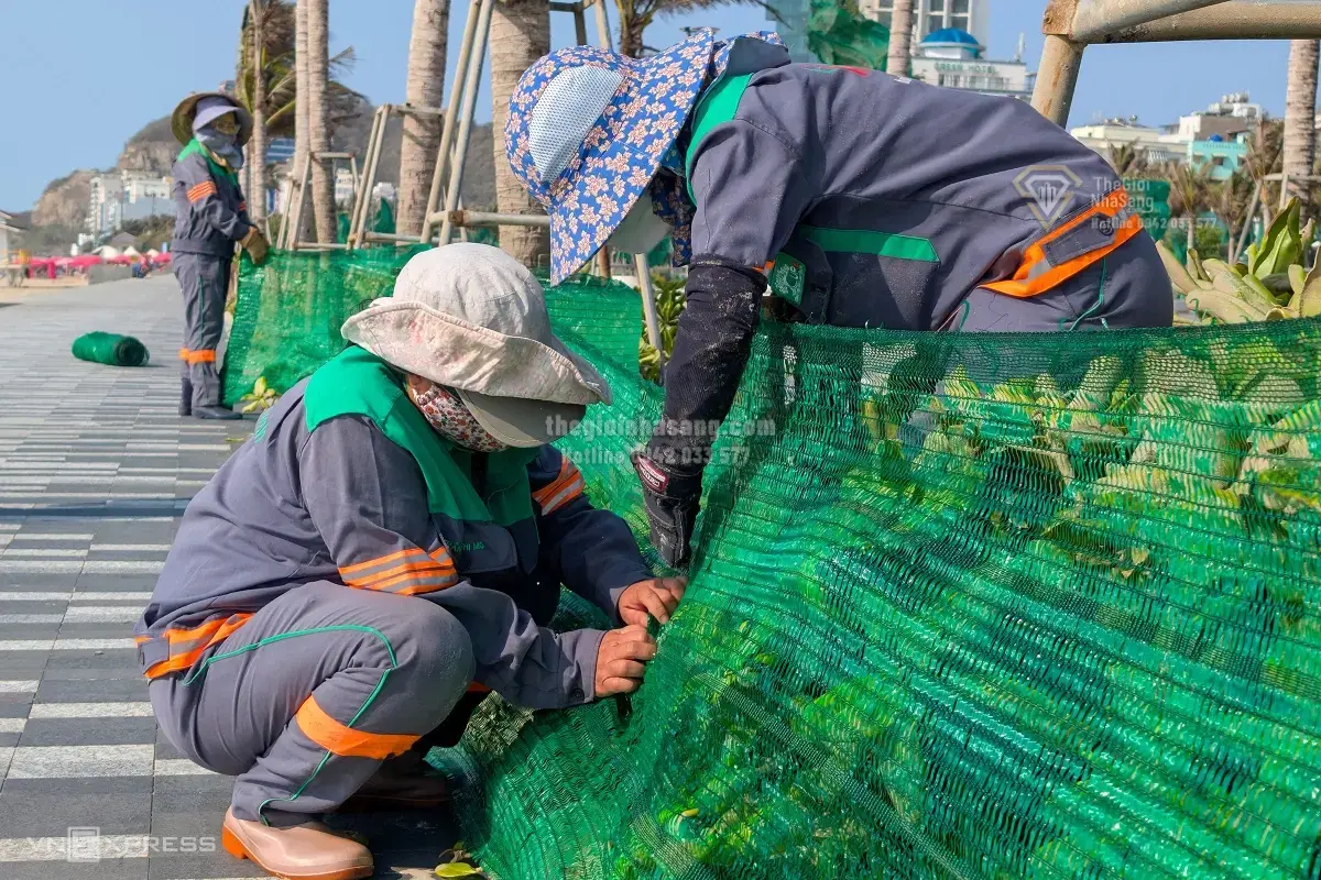 Hiện tượng cát bay tại Công viên Thùy Vân Vũng Tàu: Thách thức và giải pháp cho phát triển bền vững đô thị ven biển