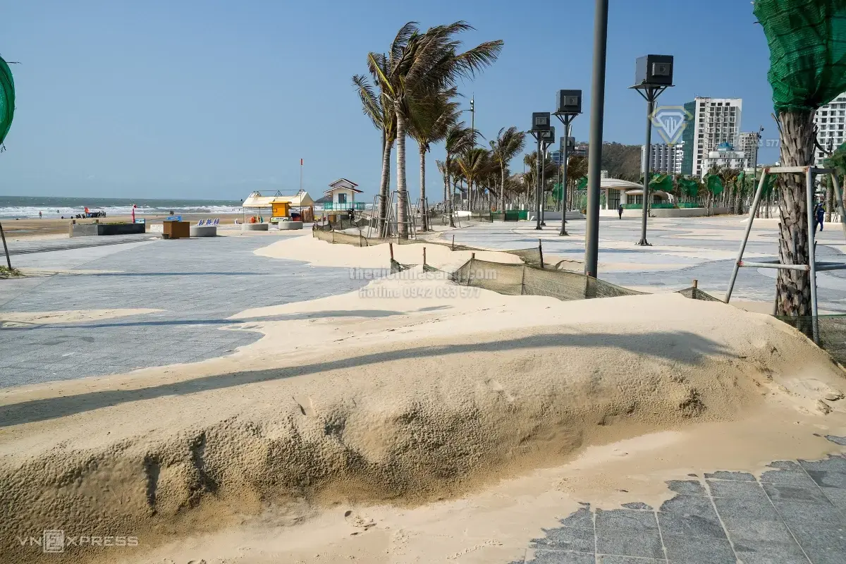 Hiện tượng cát bay tại Công viên Thùy Vân Vũng Tàu: Thách thức và giải pháp cho phát triển đô thị bền vững