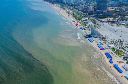 Hiện tượng tảo nở hoa tại Vũng Tàu: Tác động và dự báo đối với thị trường bất động sản ven biển