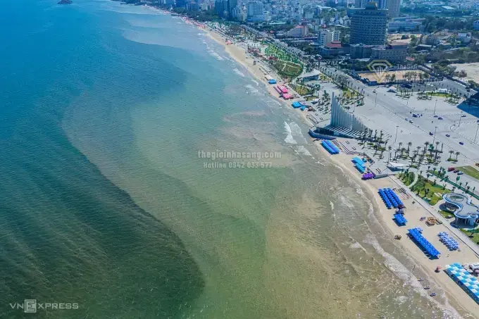 Hiện tượng tảo nở hoa tại Vũng Tàu: Tác động và dự báo đối với thị trường bất động sản ven biển