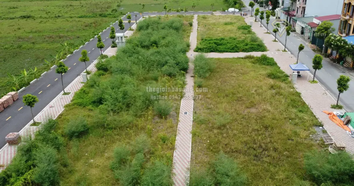 Hướng Dẫn Xác Định Điều Kiện Chuyển Mục Đích Sử Dụng Đất Theo Quy Hoạch Mới Tại Hải Phòng