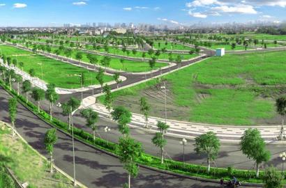 Hướng Dẫn Xác Định Loại Đất Trên Sổ Đỏ Theo Quy Định Mới Nhất Năm 2024