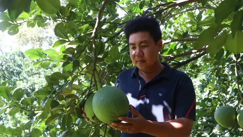 20 Tuổi Đã Cầm Tiền Tỷ: Anh Giám Đốc Trẻ Ở Bà Rịa - Vũng Tàu Này Là Nông Dân Việt Nam Xuất Sắc