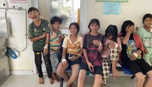9 học sinh ở Gia Lai ngộ độc sau ăn thịt cóc - Dân Việt