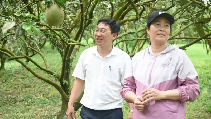 Chân dung nông dân kiểu mới ở Gia Lai biến nghịch thành thuận, đổi đời với mô hình trồng ...
