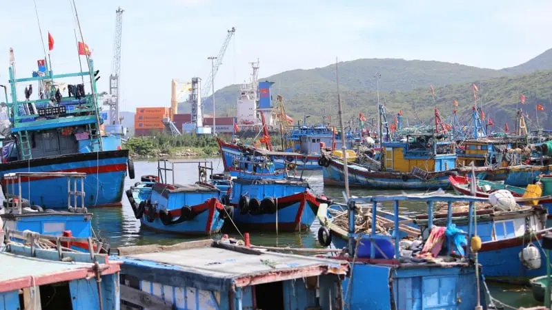 Gia Lai Tăng Cường Chống Khai Thác IUU: Lãnh Đạo Chịu Trách Nhiệm