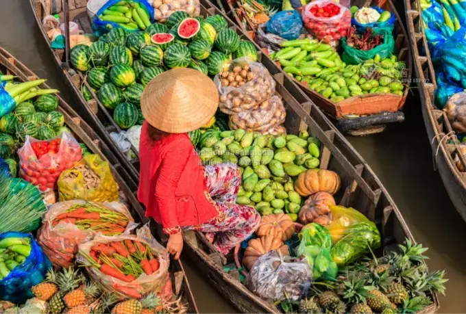 Khám Phá Việt Nam: Hành Trình Đầy Cảm Hứng Cho Thị Trường Bất Động Sản Và Du Lịch Cao Cấp