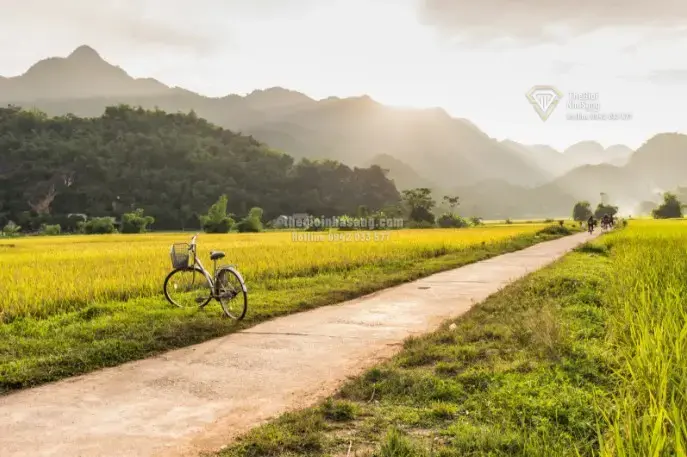 Khám Phá Việt Nam: Hành Trình Đầy Cảm Hứng Cho Thị Trường Bất Động Sản Và Du Lịch Cao Cấp