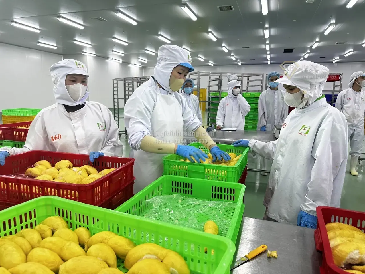 Khoa học công nghệ thúc đẩy chuyển đổi mô hình tăng trưởng nông nghiệp và tác động đến thị trường bất động sản Việt Nam 2026