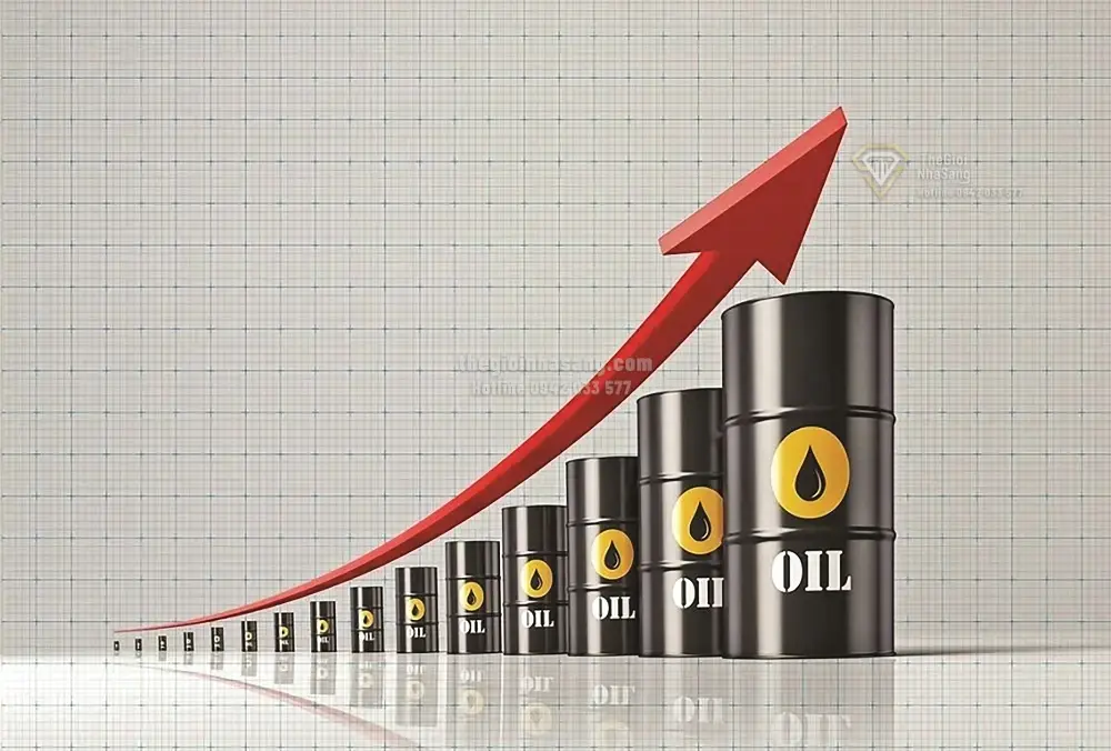 Khơi Thông Động Lực Tăng Trưởng Thị Trường Tài Sản Số Việt Nam Trong Bối Cảnh Pháp Lý Còn Nhiều Hạn Chế