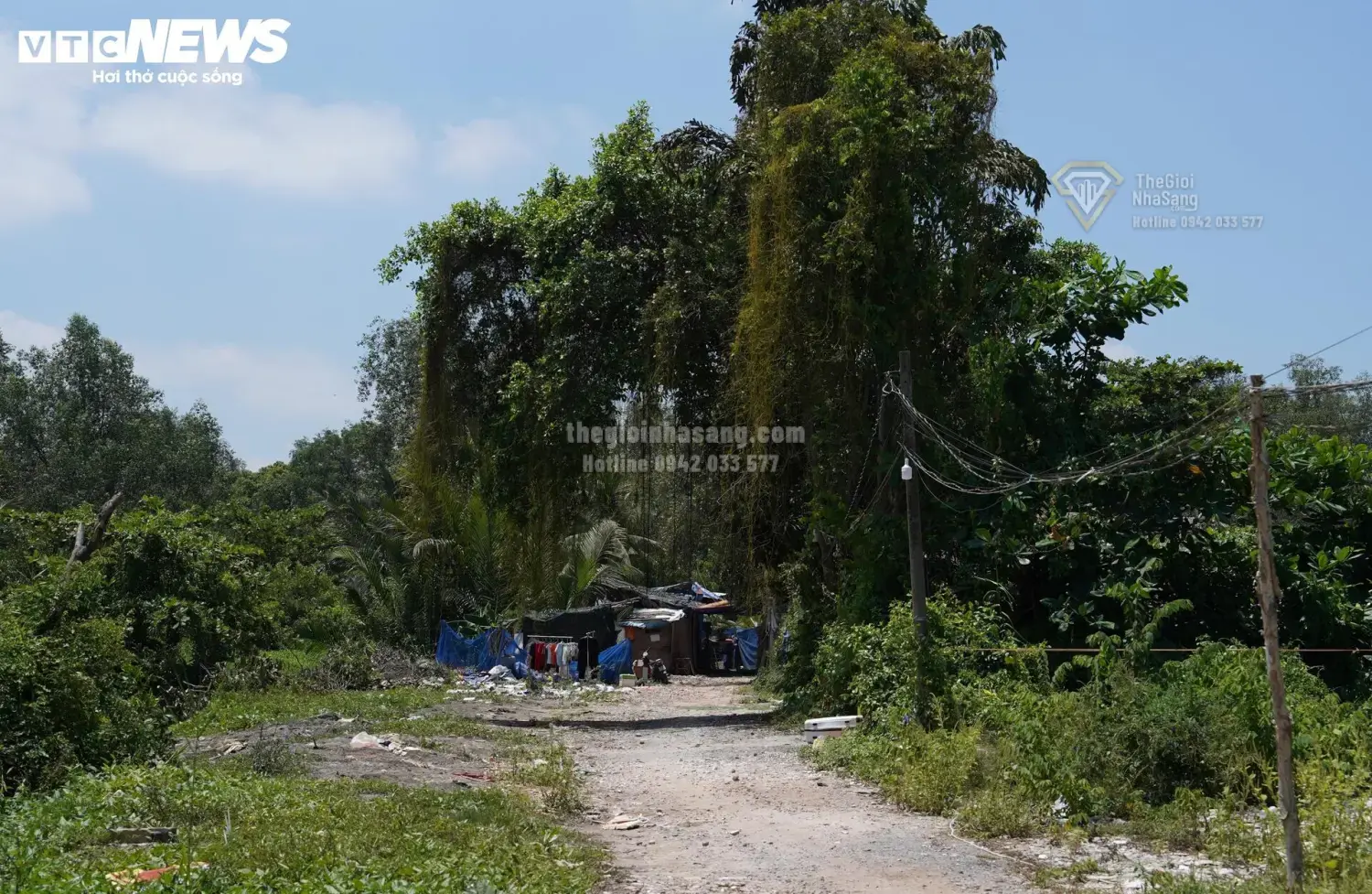 Khu Liên Hợp Thể Thao Rạch Chiếc: Tiềm Năng và Thách Thức Trong Cuộc Cách Mạng Bất Động Sản TP.HCM