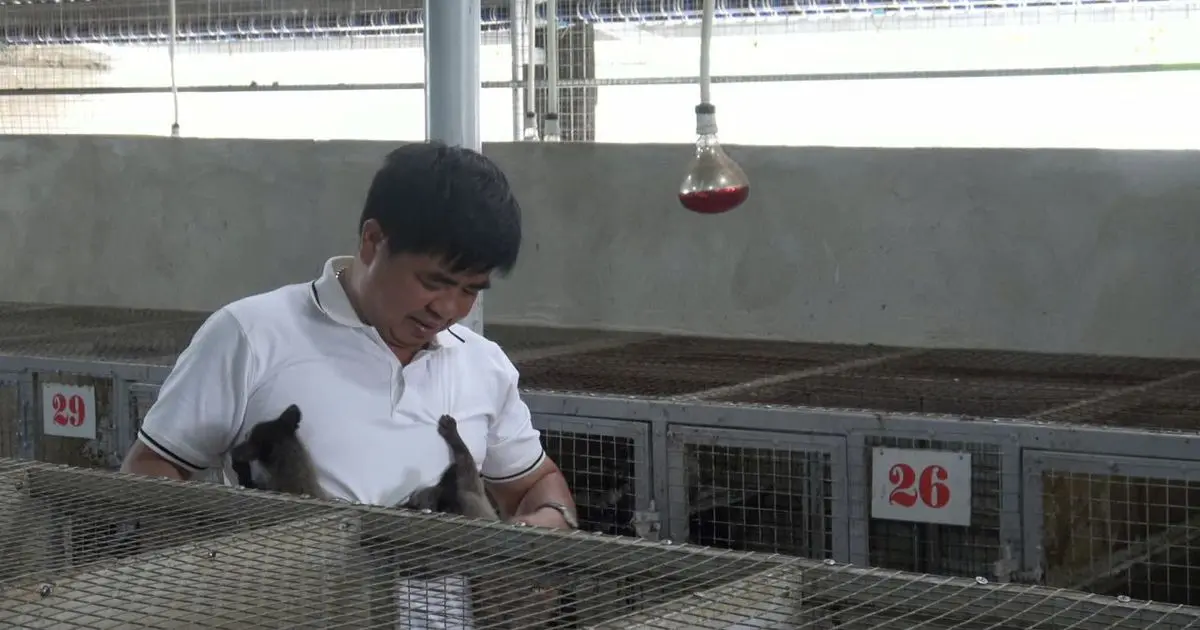 Anh nông dân kiếm tiền tỷ mỗi năm từ mô hình nuôi cấy hương liệu