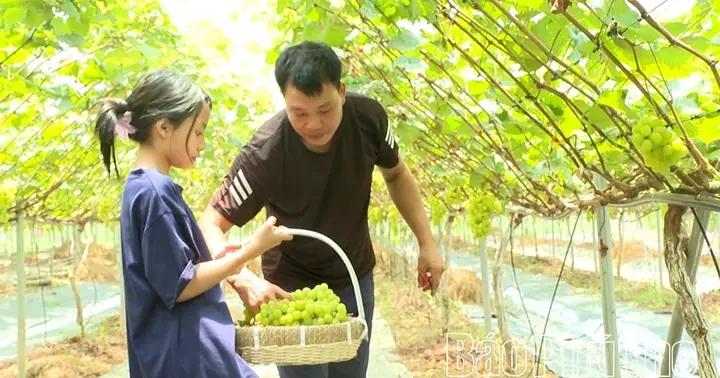 Kỳ 3: Kết nối nông nghiệp và du lịch: Hướng đi bền vững - Báo Phú Thọ