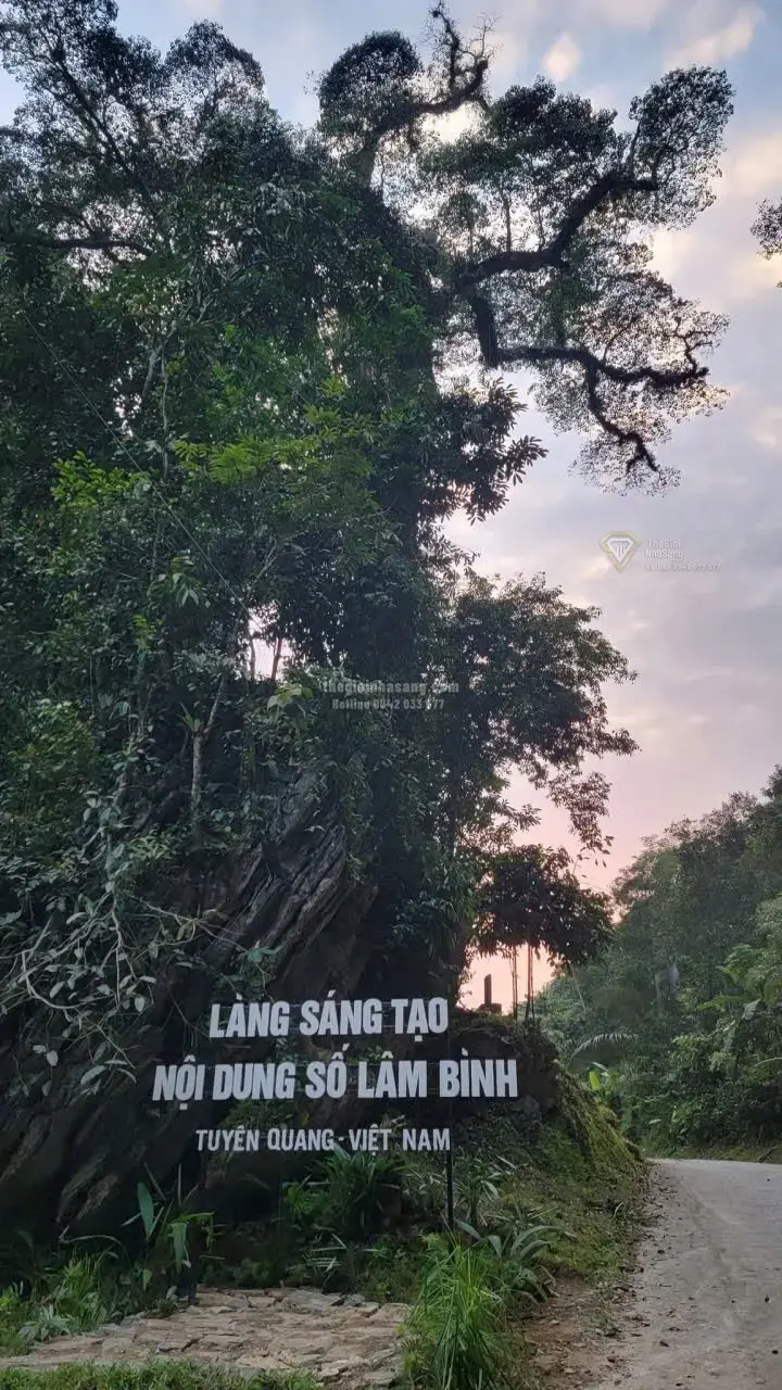 Lâm Bình Tuyên Quang: Mô Hình Làng Sáng Tạo Nội Dung Số Mở Ra Cơ Hội Phát Triển Bất Động Sản Vùng Cao