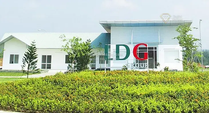 LDG Group Chậm Thanh Toán Trái Phiếu 186 Tỷ Đồng: Thực Trạng và Triển Vọng Thị Trường Bất Động Sản 2026