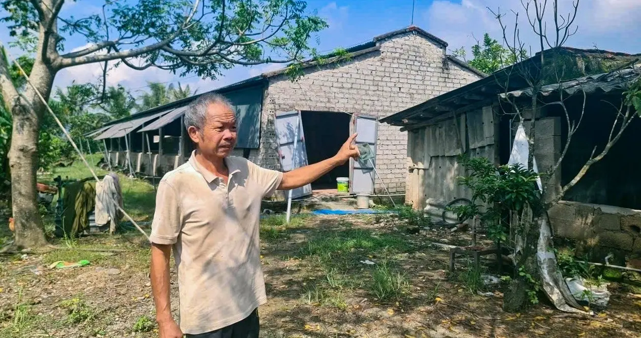 Loạt trang trại ở Thanh Hóa bị đình trệ vì chậm đấu thầu đất công ích - VietNamNet