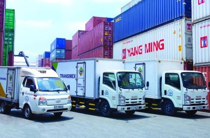 Lợi Nhuận Quý 1 của Transimex Tăng Mạnh Nhờ Liên Doanh NEVN: Cơ Hội và Thách Thức Cho Thị Trường Bất Động Sản Logistics Việt Nam