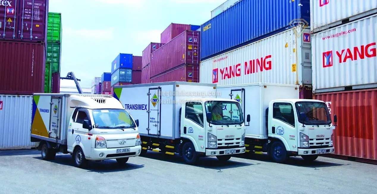 Lợi Nhuận Quý 1 của Transimex Tăng Mạnh Nhờ Liên Doanh NEVN: Cơ Hội và Thách Thức Cho Thị Trường Bất Động Sản Logistics Việt Nam