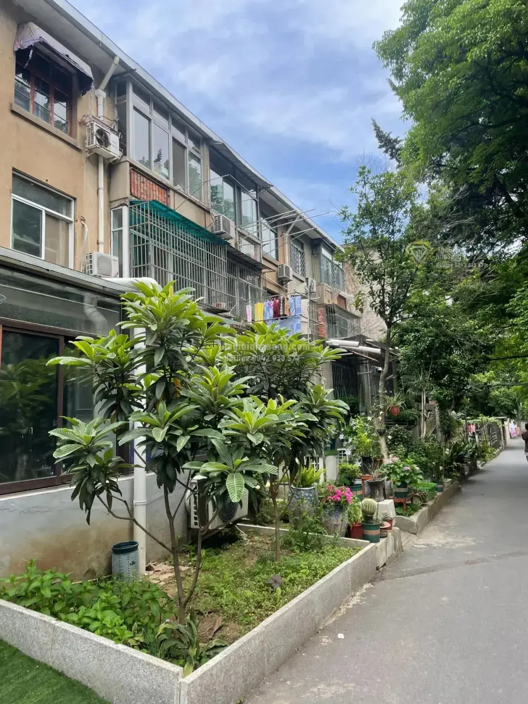 Lựa chọn căn hộ tầng 1 cũ: Bài toán đánh đổi trong thị trường bất động sản hiện nay